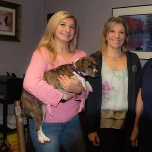 Meet your Posher, Ann-marie